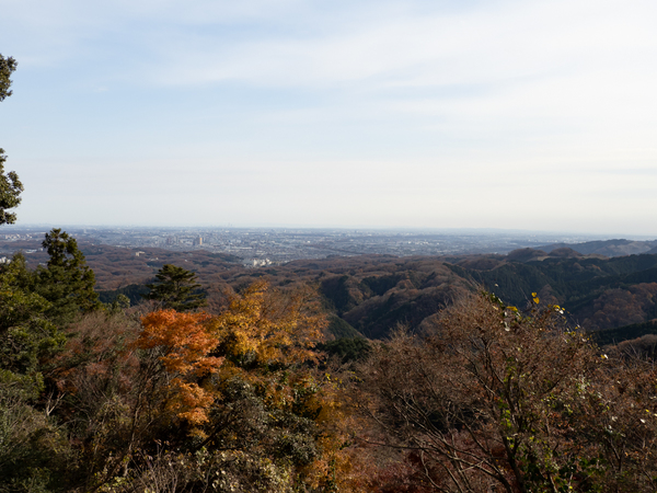 201214(高尾山)09.JPG