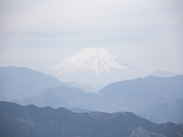 富士山240413(高尾山)382.jpg